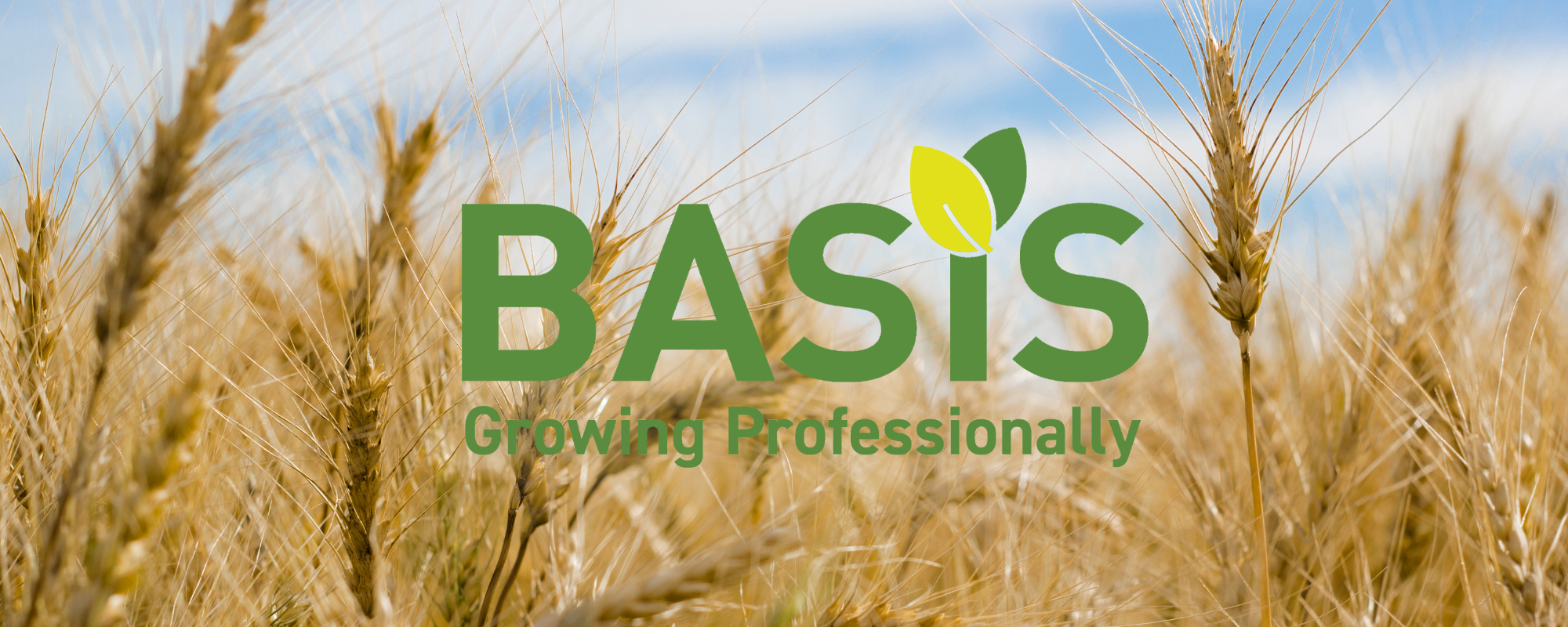 Basis Registration