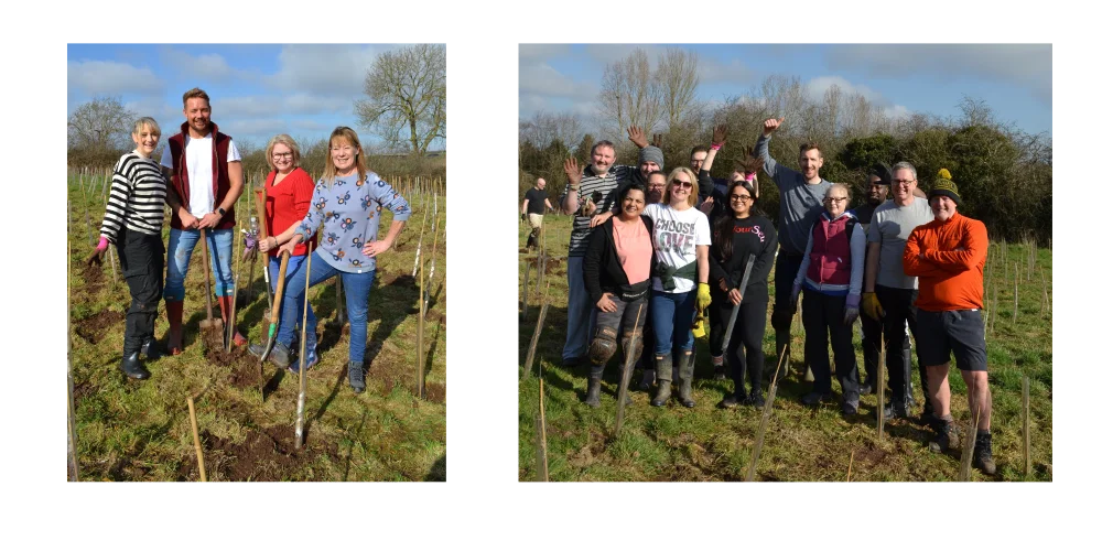 DNS Customers Planting Trees